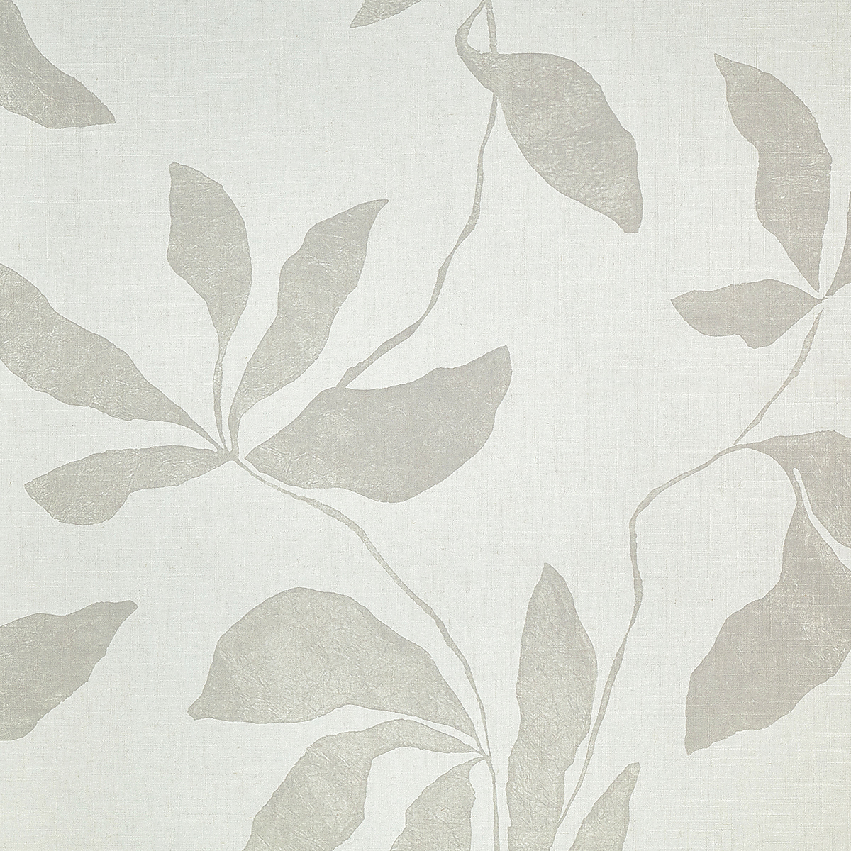Desert Ivy — Shadow Vine on Canvas Linen
