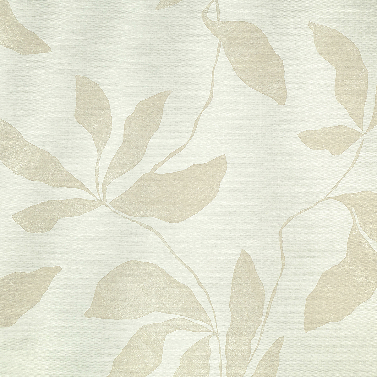 Faded Canopy on Woven Walls