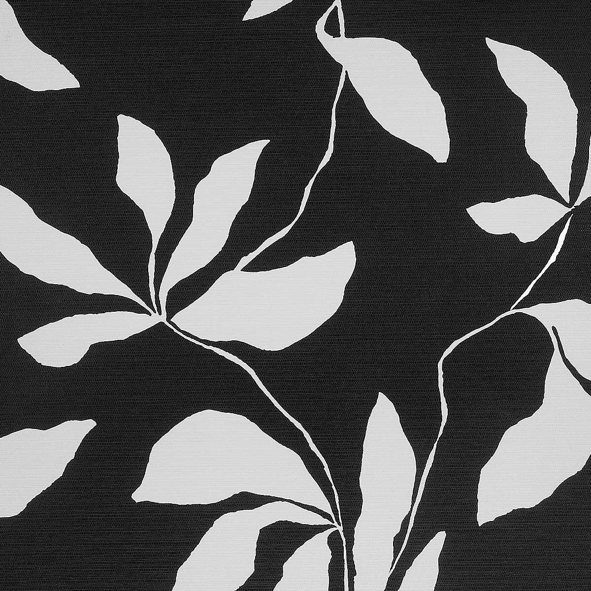 Black Veil on Woven Walls