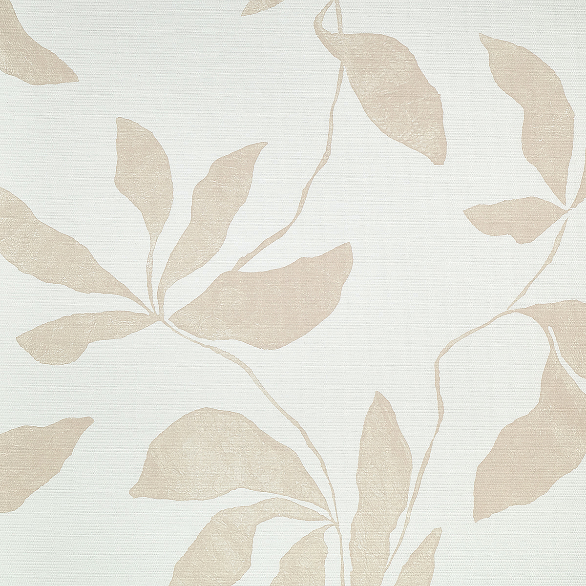 Blush Haze on Woven Walls
