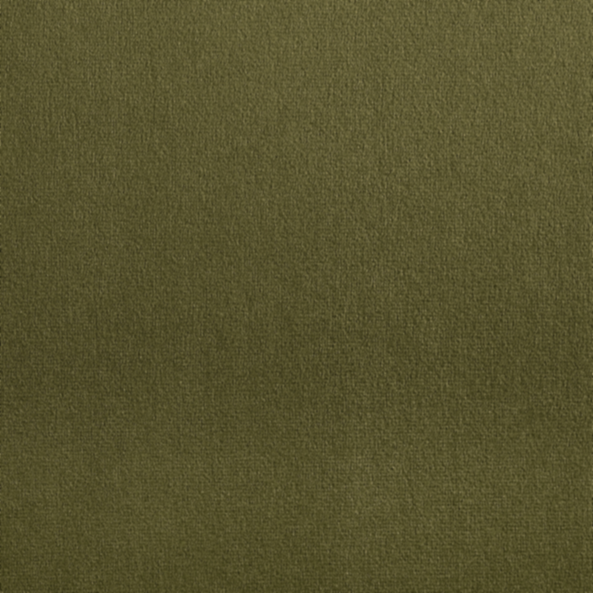 Rich Olive