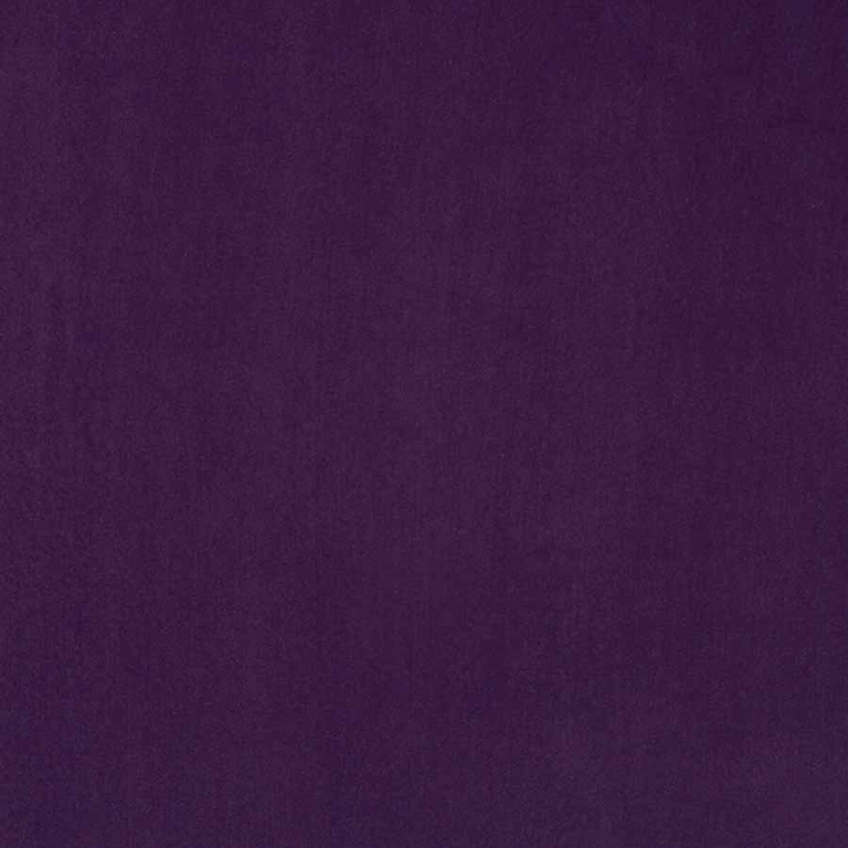 Regal Purple
