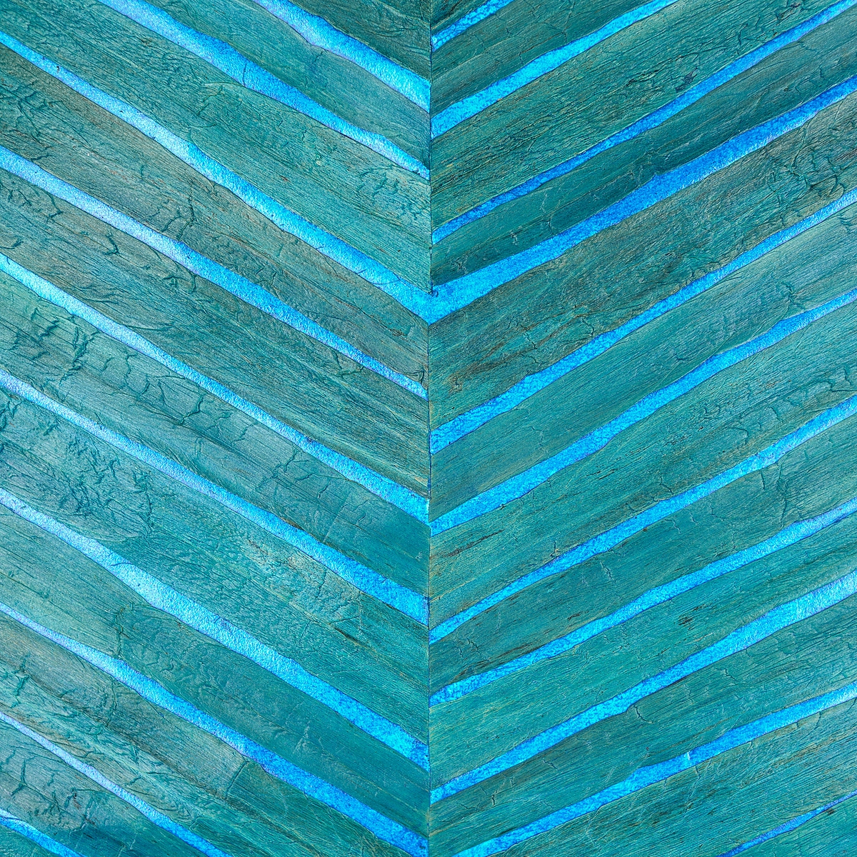 Peacock Plume