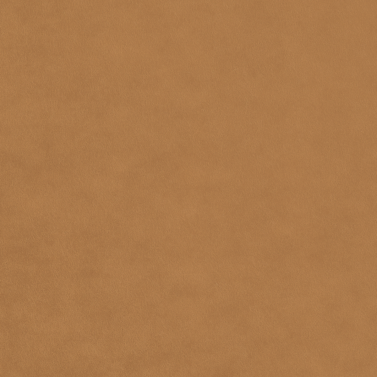 Tailored Tan