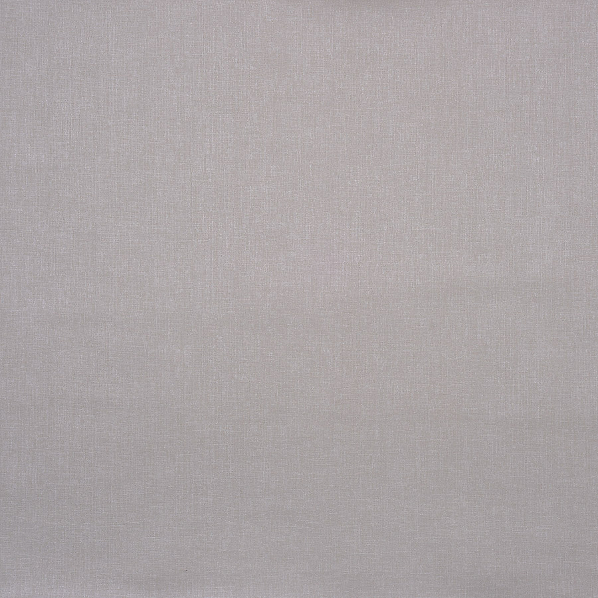 Silver Lamé