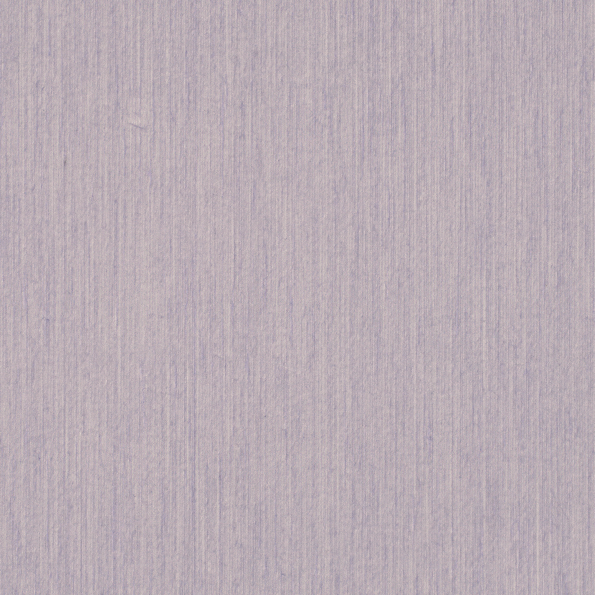 Wisteria