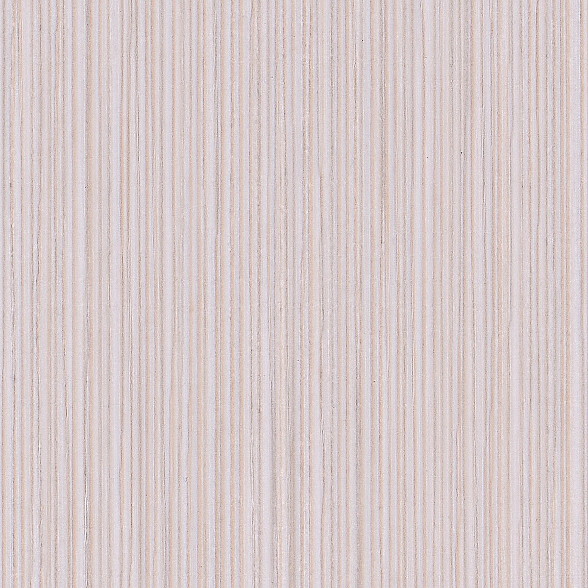 Fresh White