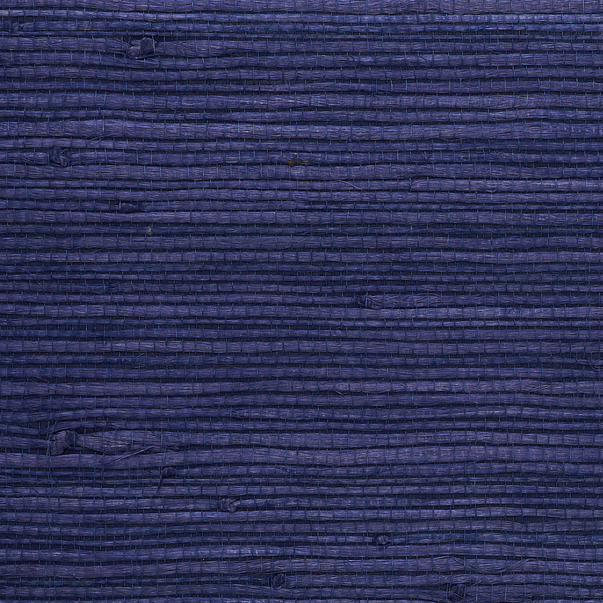 Indigo Sea