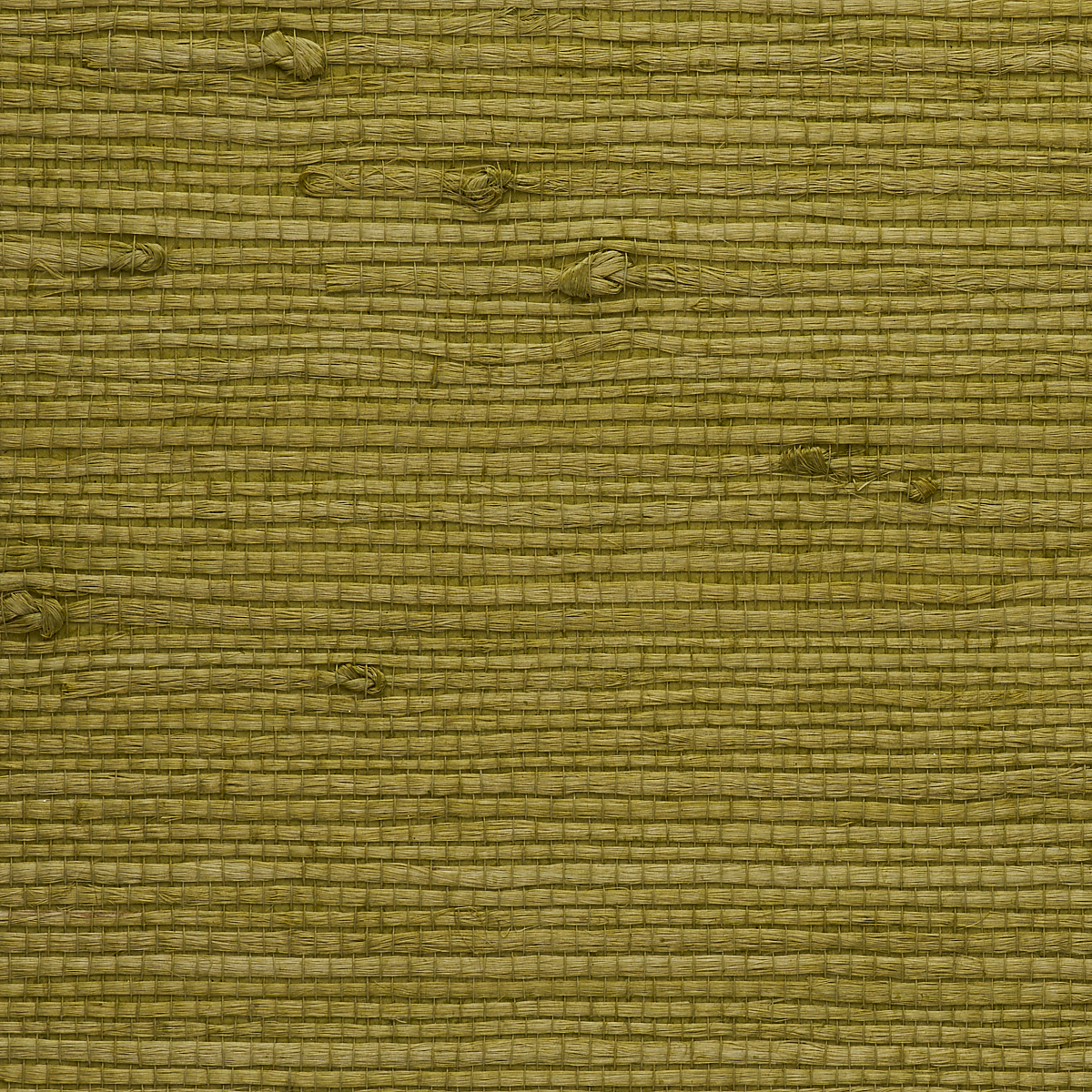 Juicy Jute — Split Pea