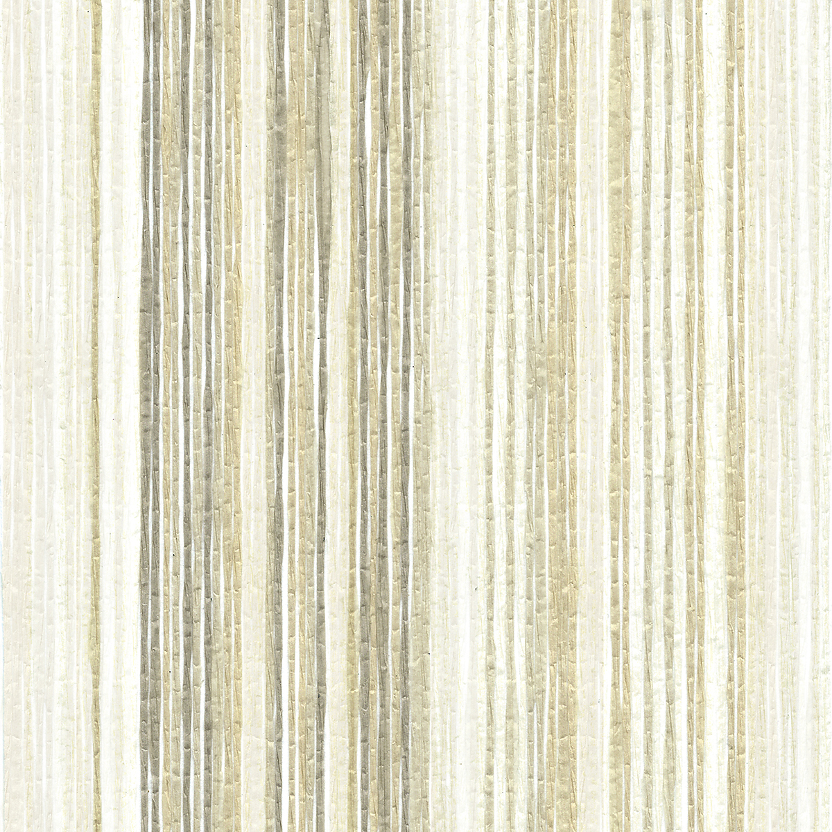 Longitude — Prime White