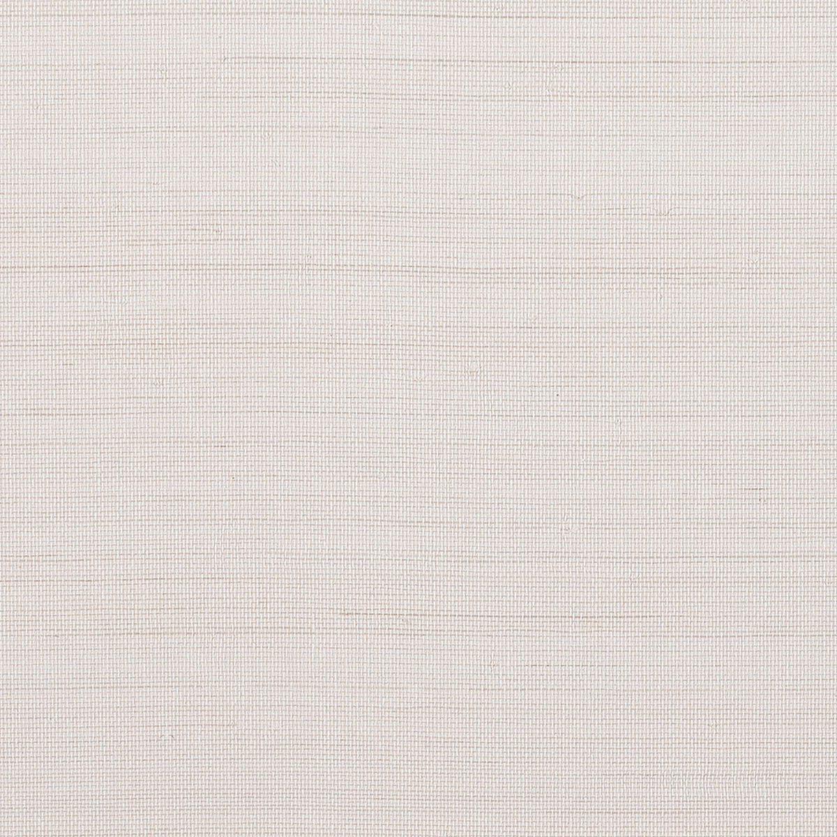 Eli's Epic Abaca — Wellspring White