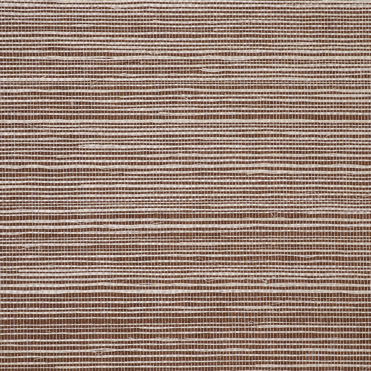 Cocoa