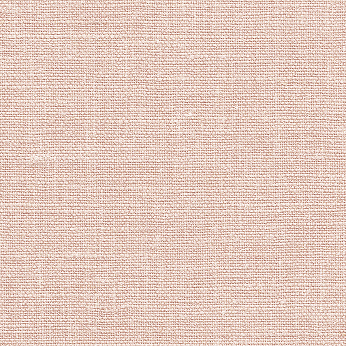 Tea Rose