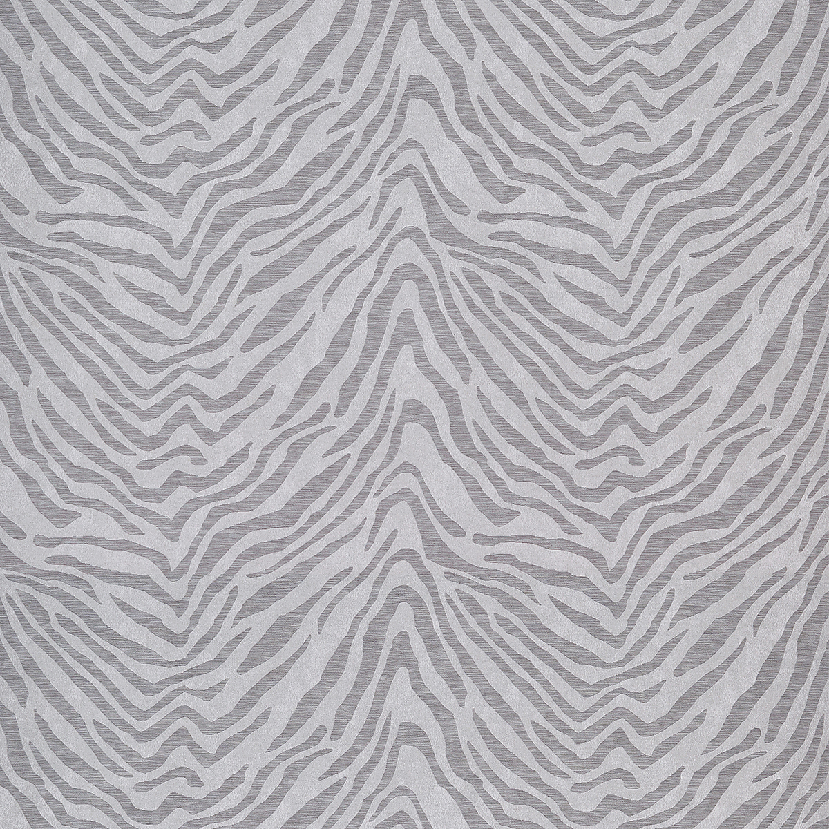 Grevy Grey