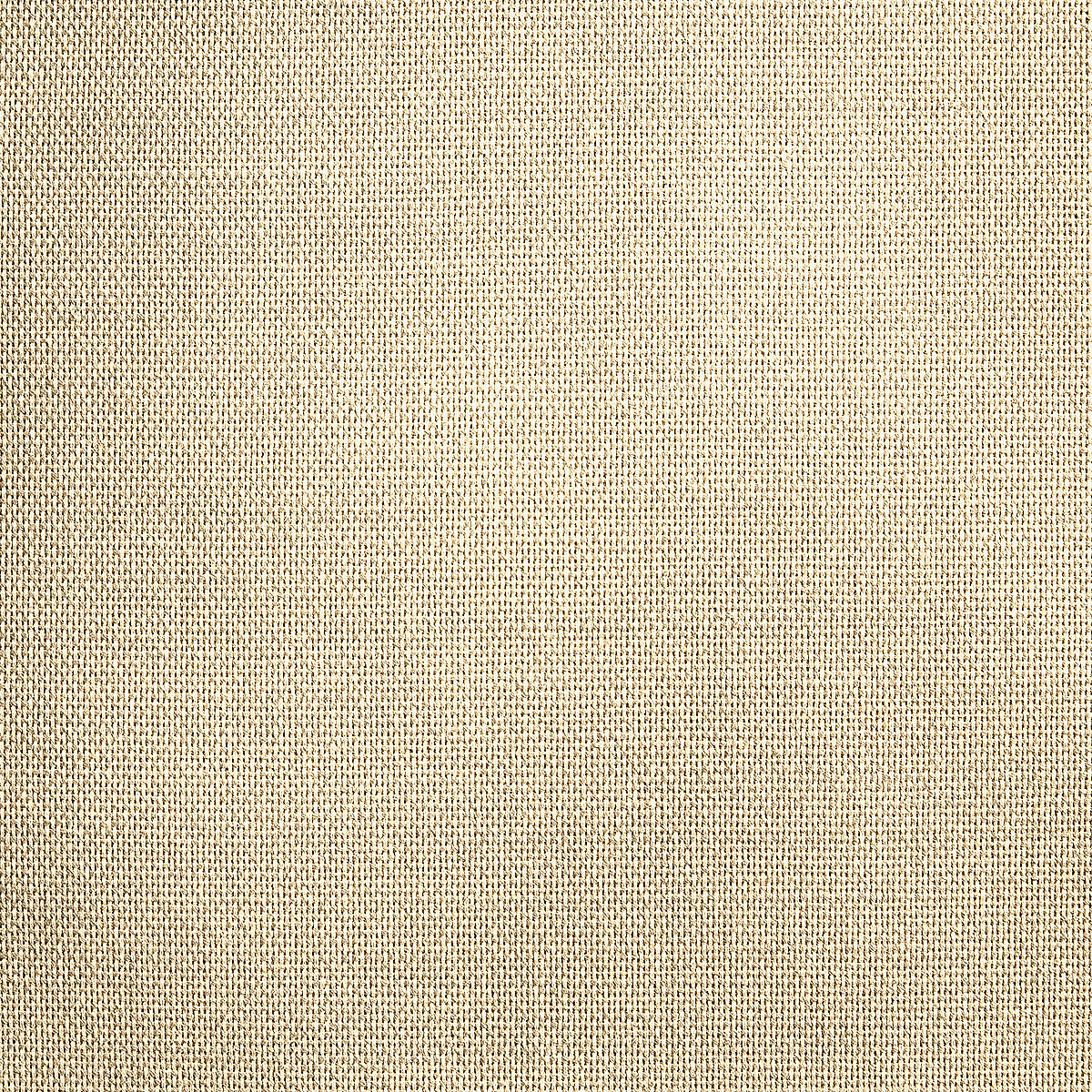 Wayne Khaki
