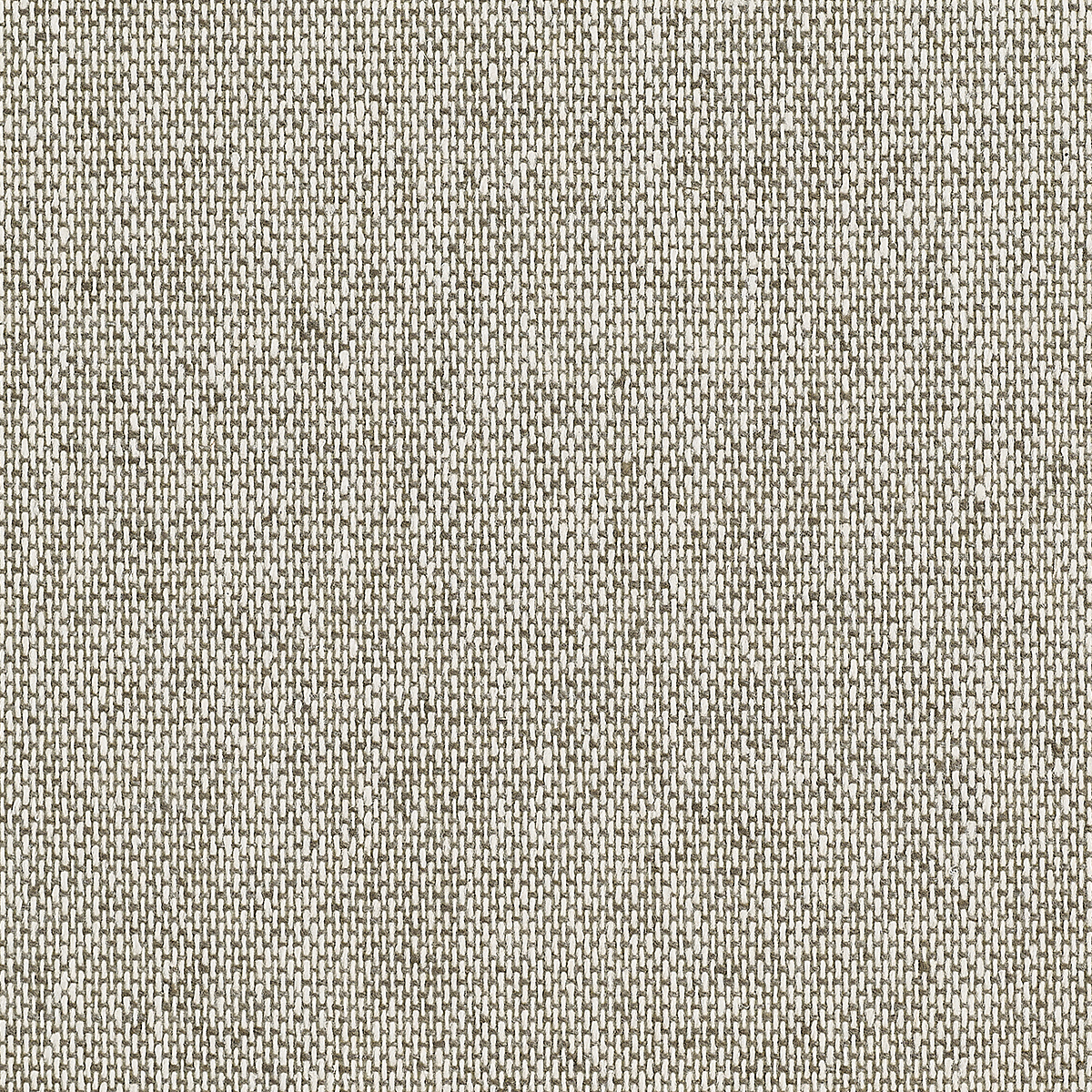 Hibernian Beige