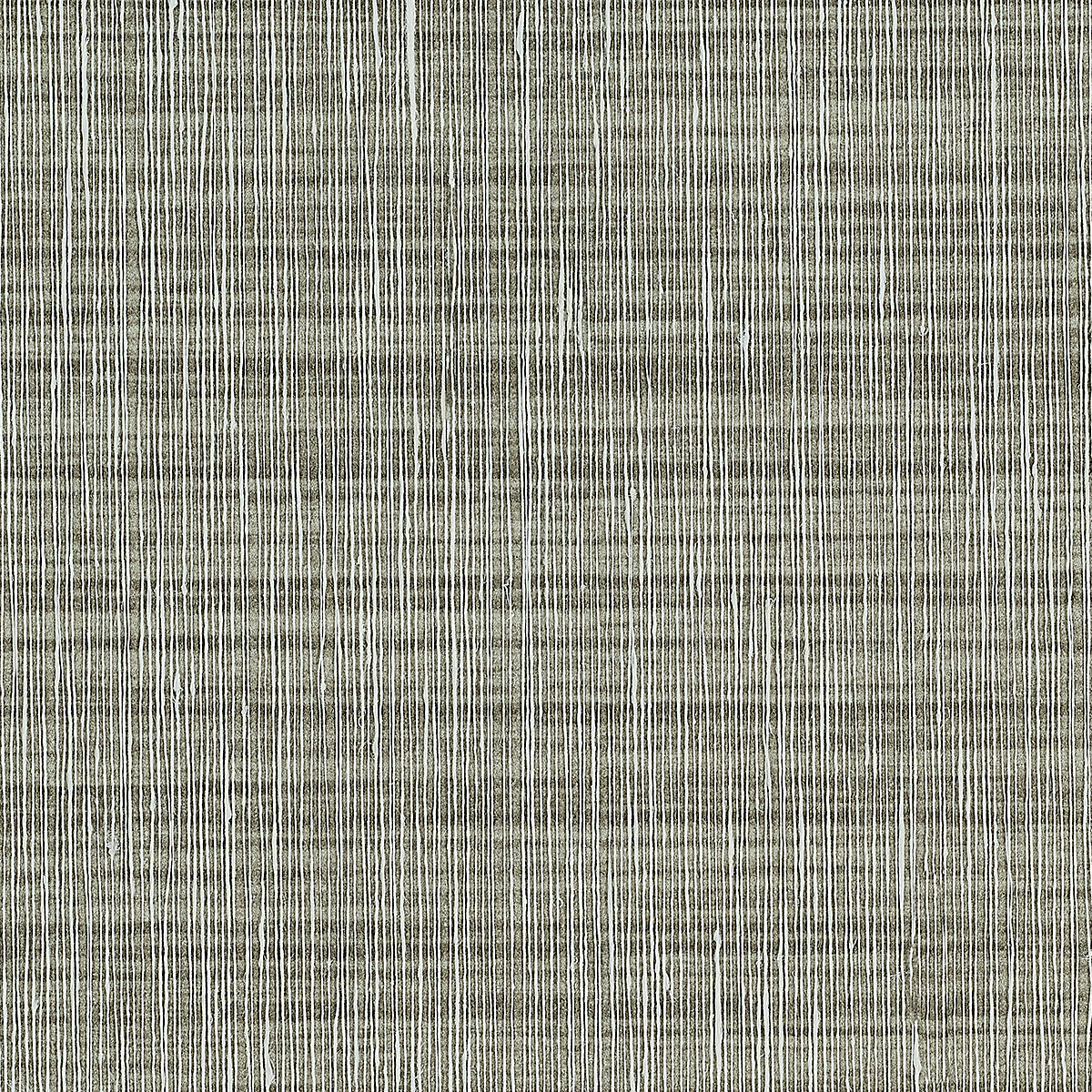 Grey Birch