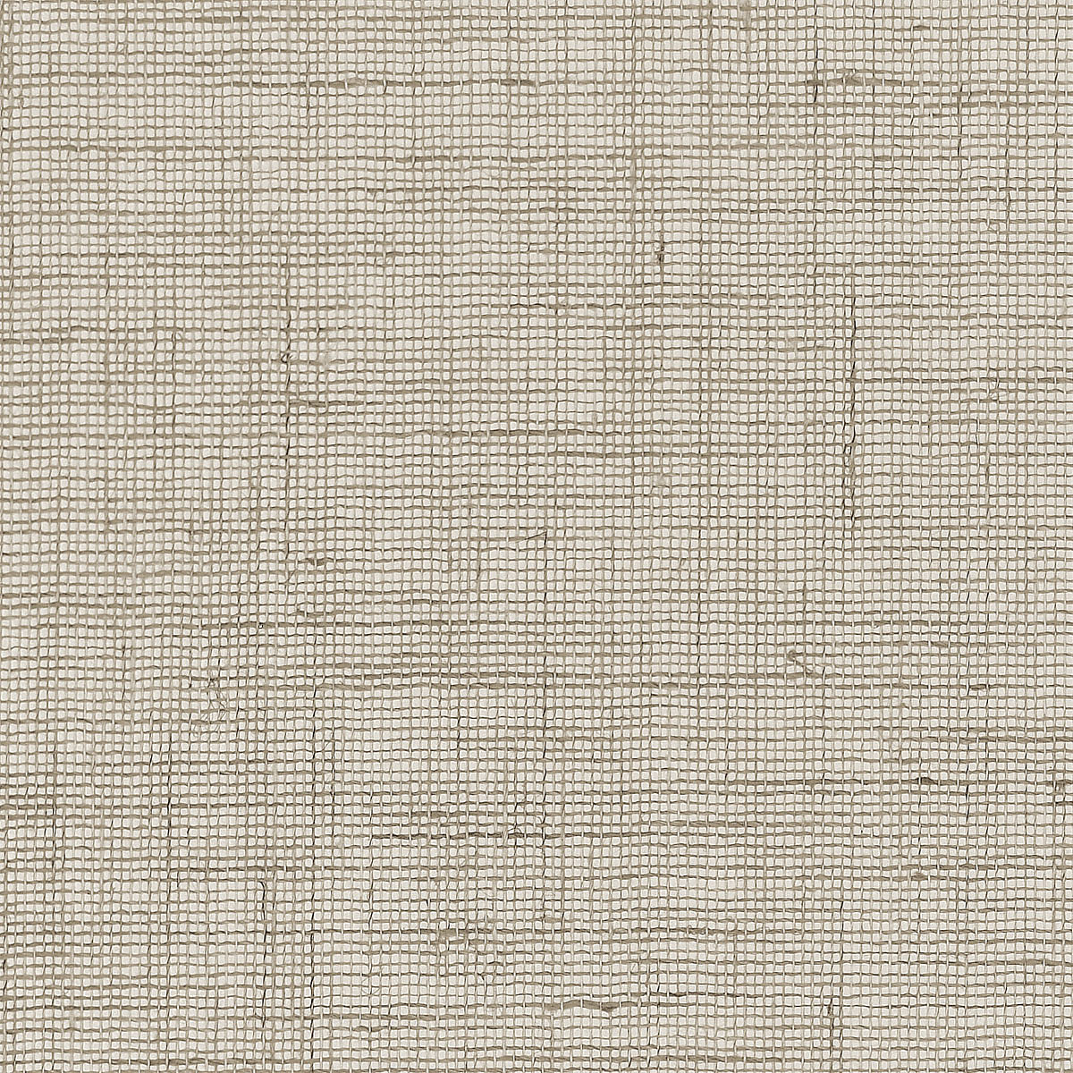 Inlet Lace
