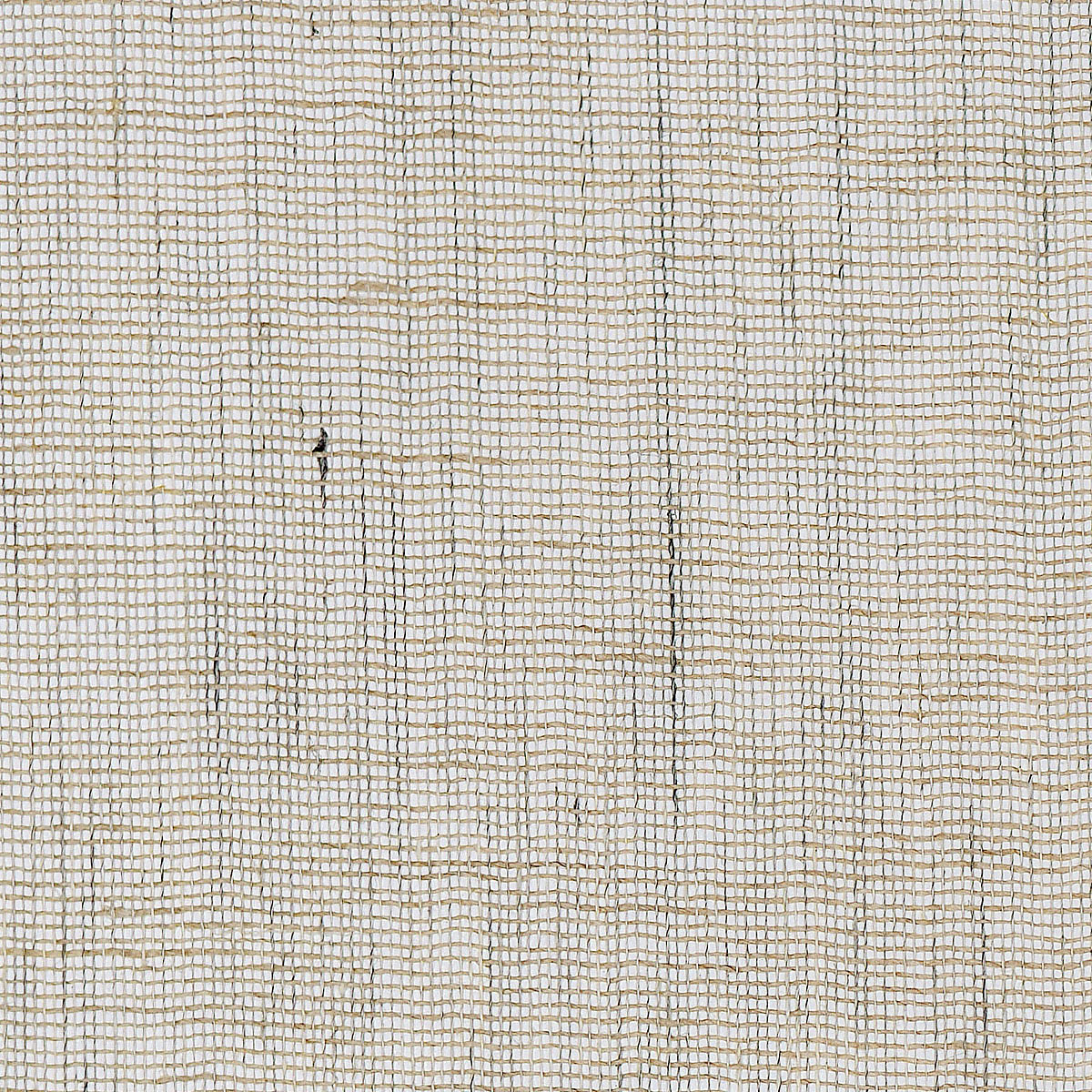 Seaside Linen — Conch