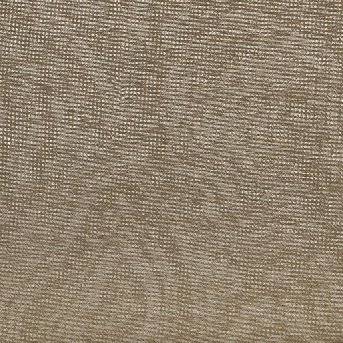 Tigers Eye on Canvas Linen