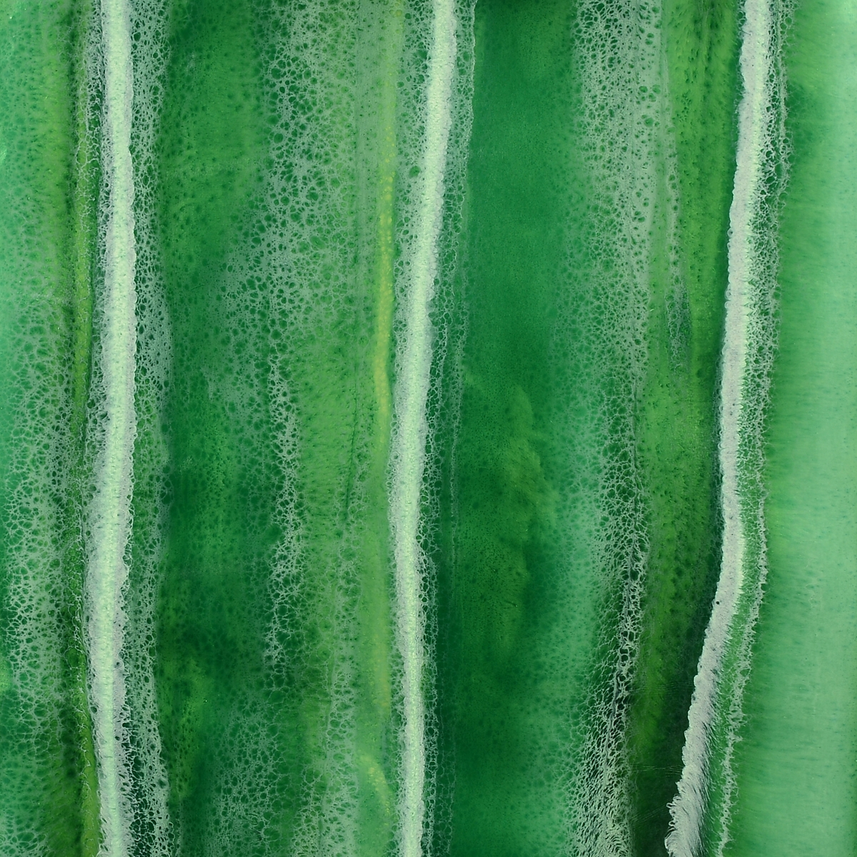 Verde Aver