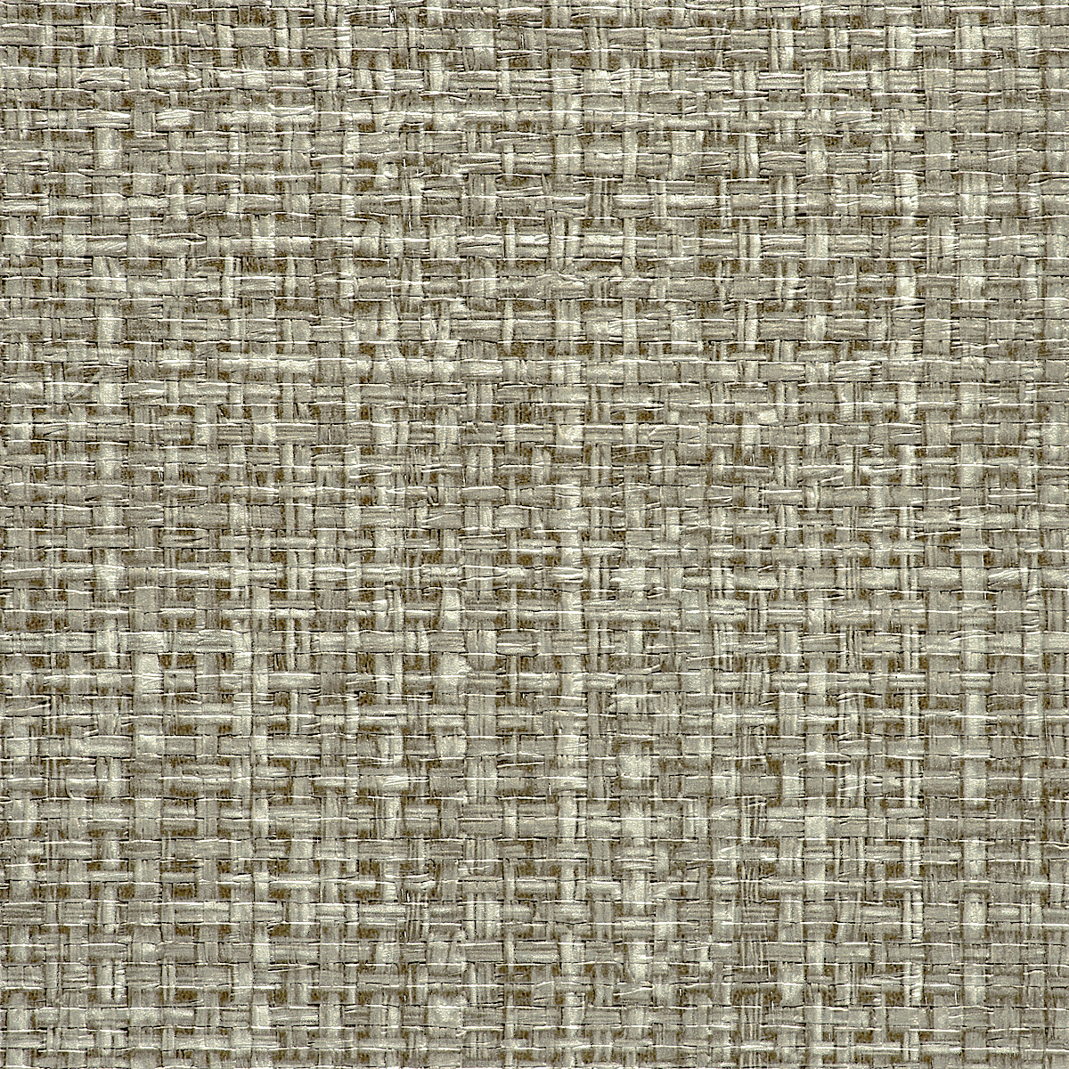 Oat Grass