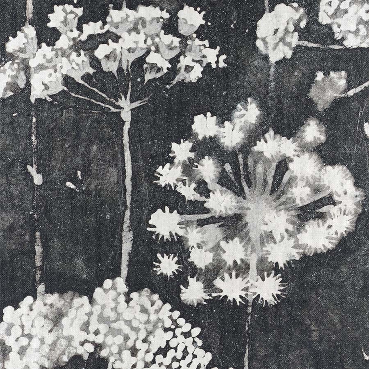 Negative on Japanese Paper Weave