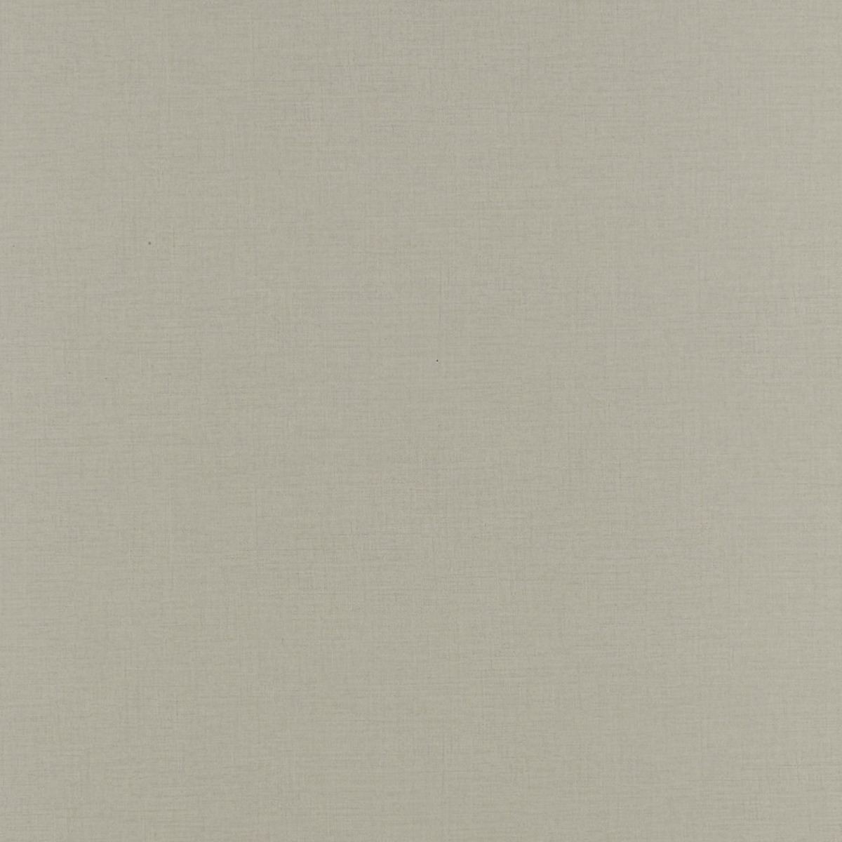 Ivory Coral