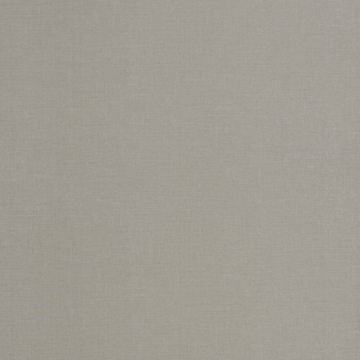 Vinyl Abstract — Grey Light