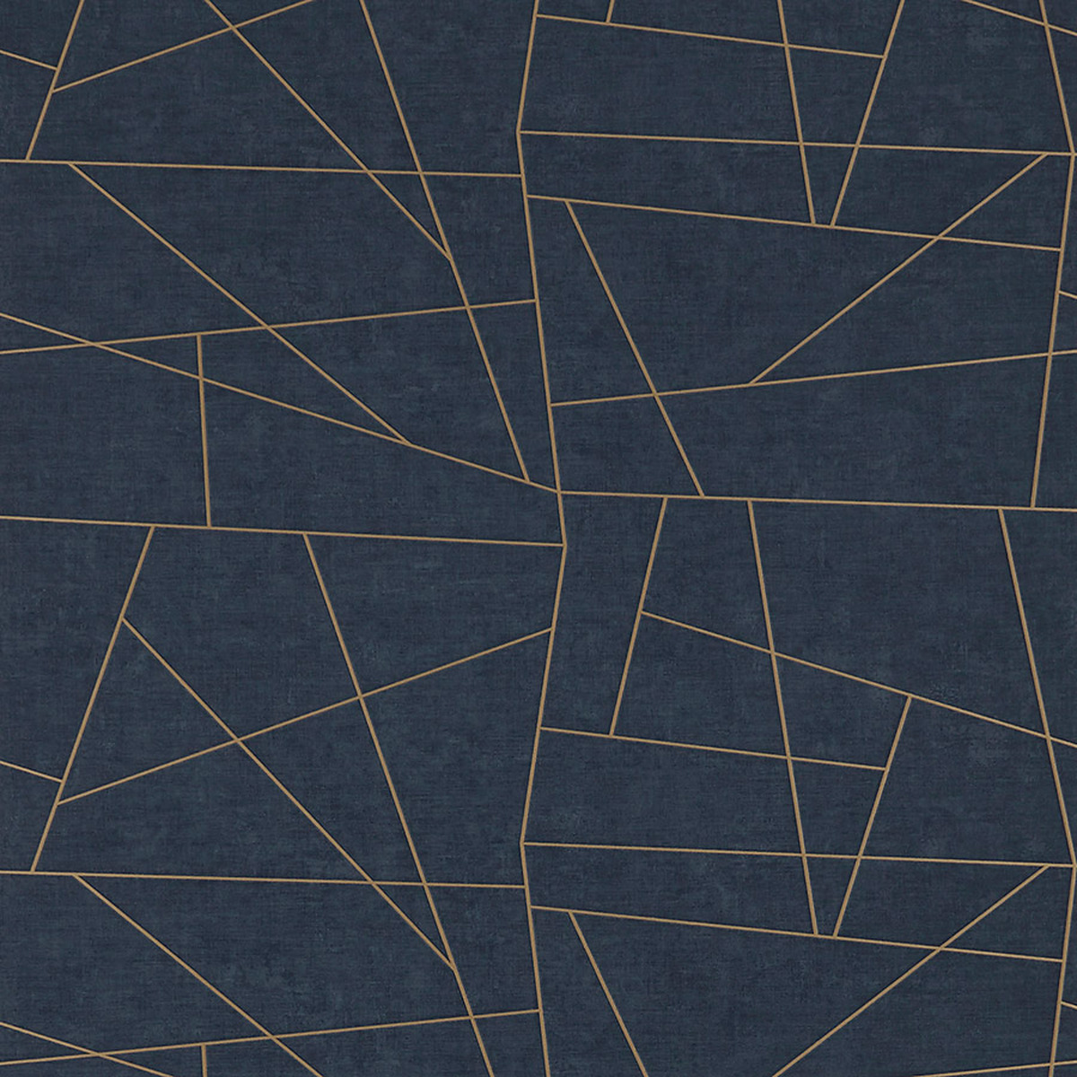 Navy Fragment