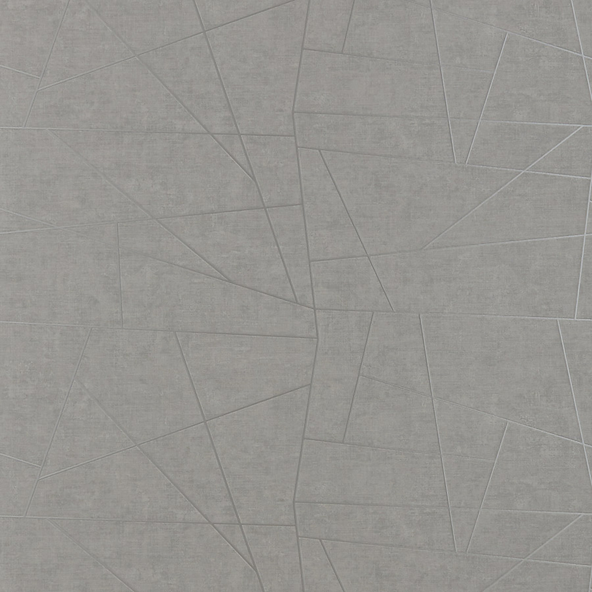 Vinyl Abstract Geometric — Silver Shape