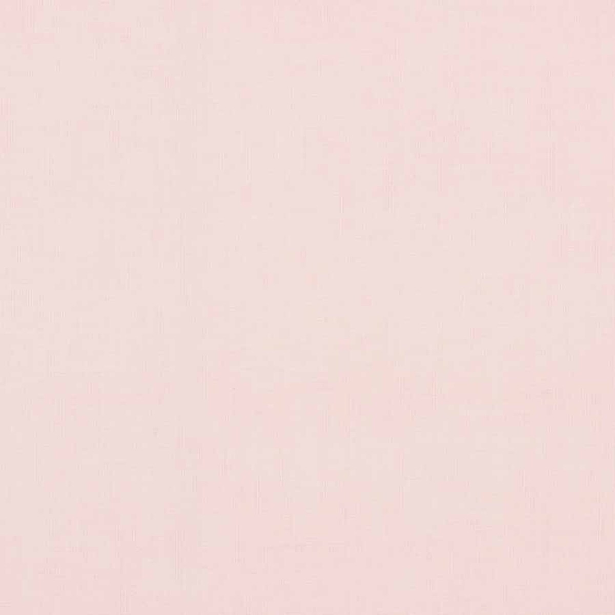 Prarie Rose