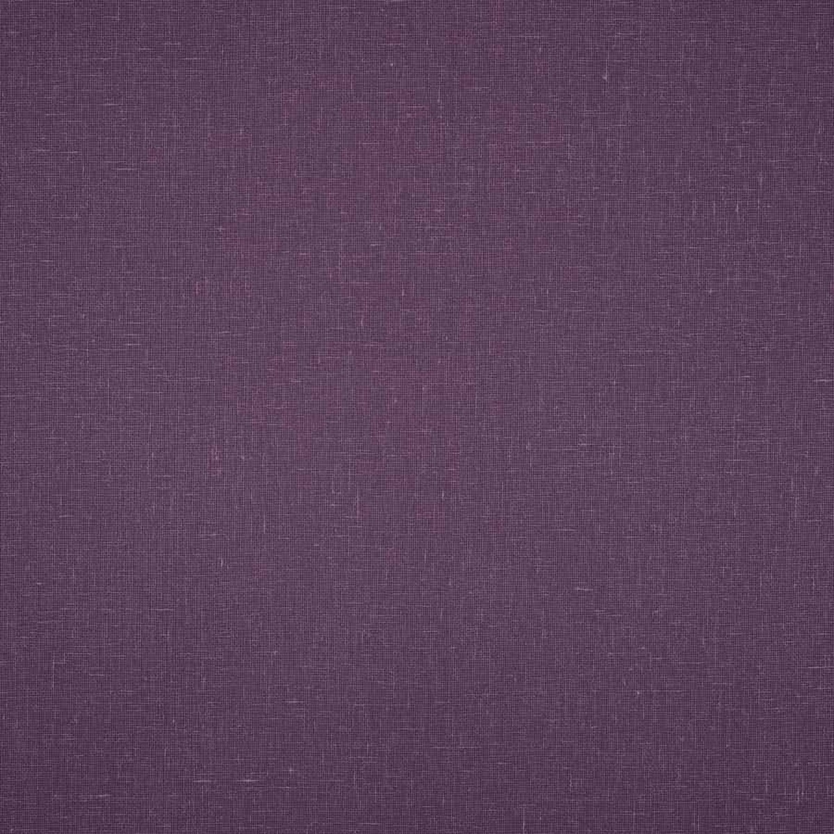 Aubergine Meadow