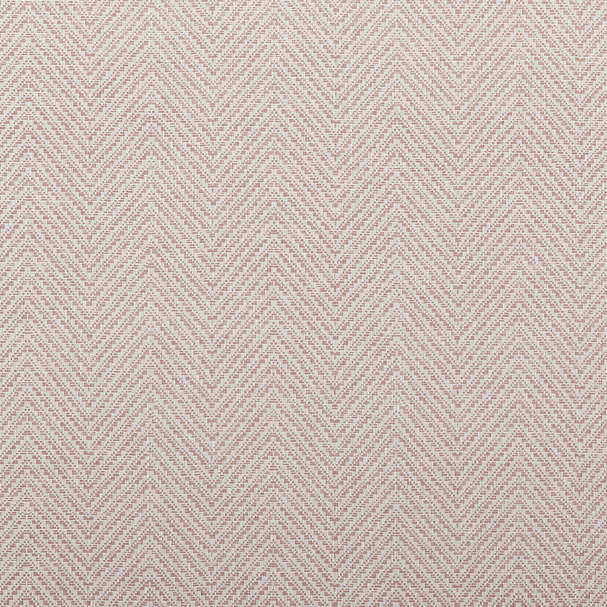 Protea Pink