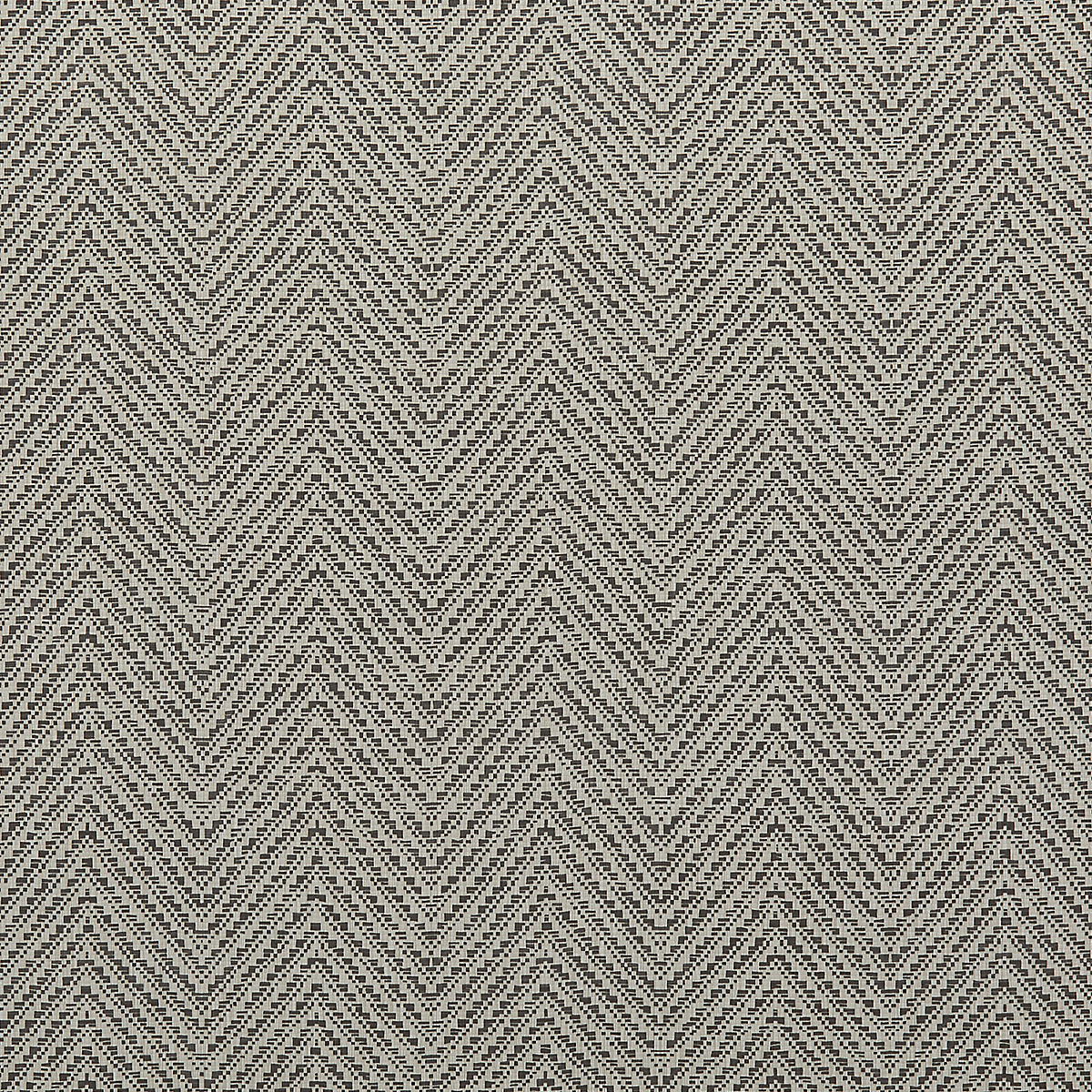 Zebra Gray