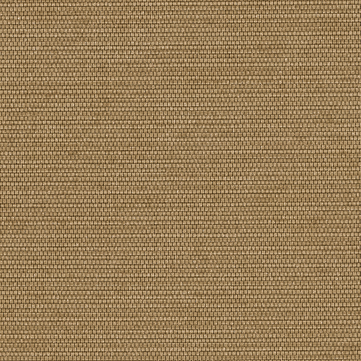Sepia Suit