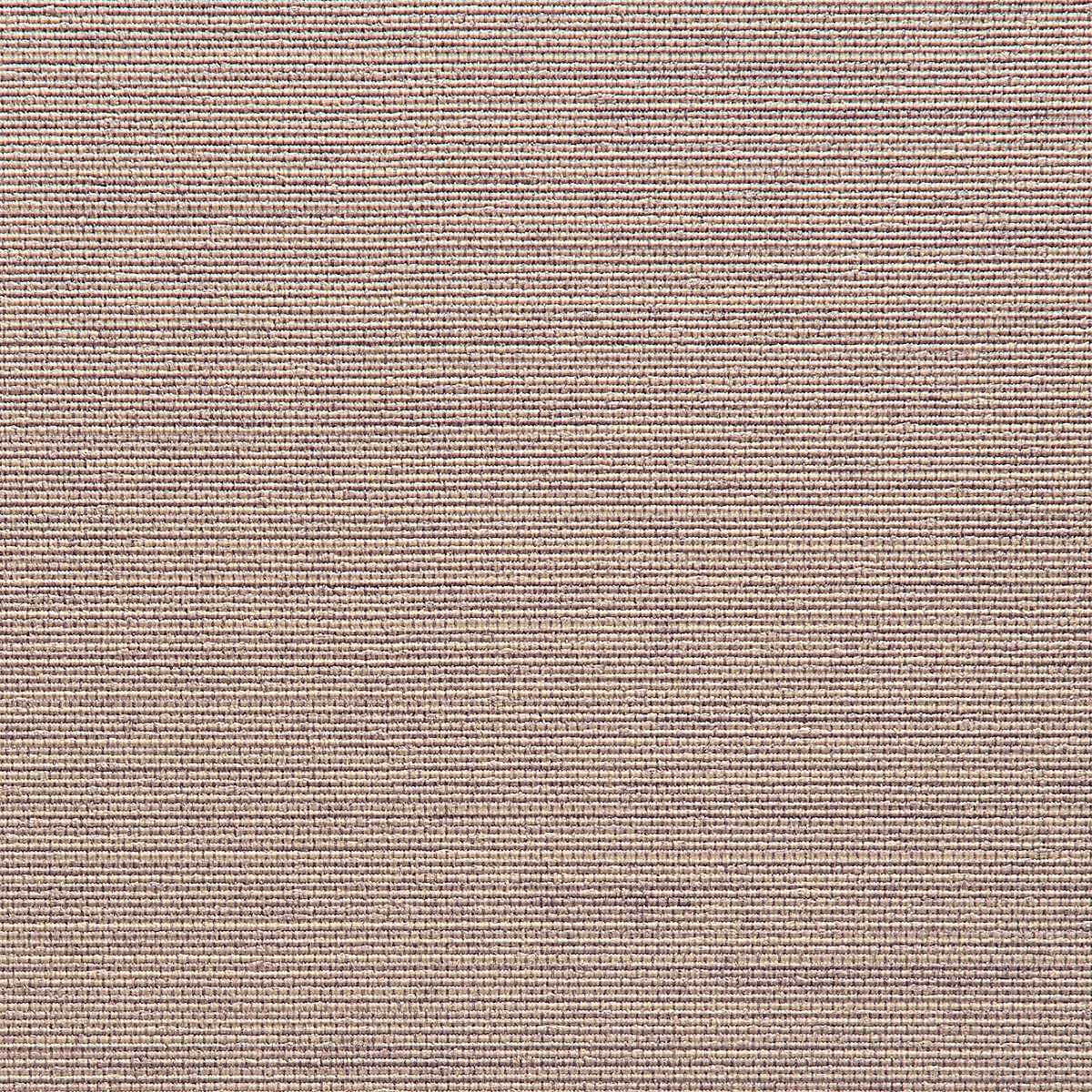 Lavender Petticoat