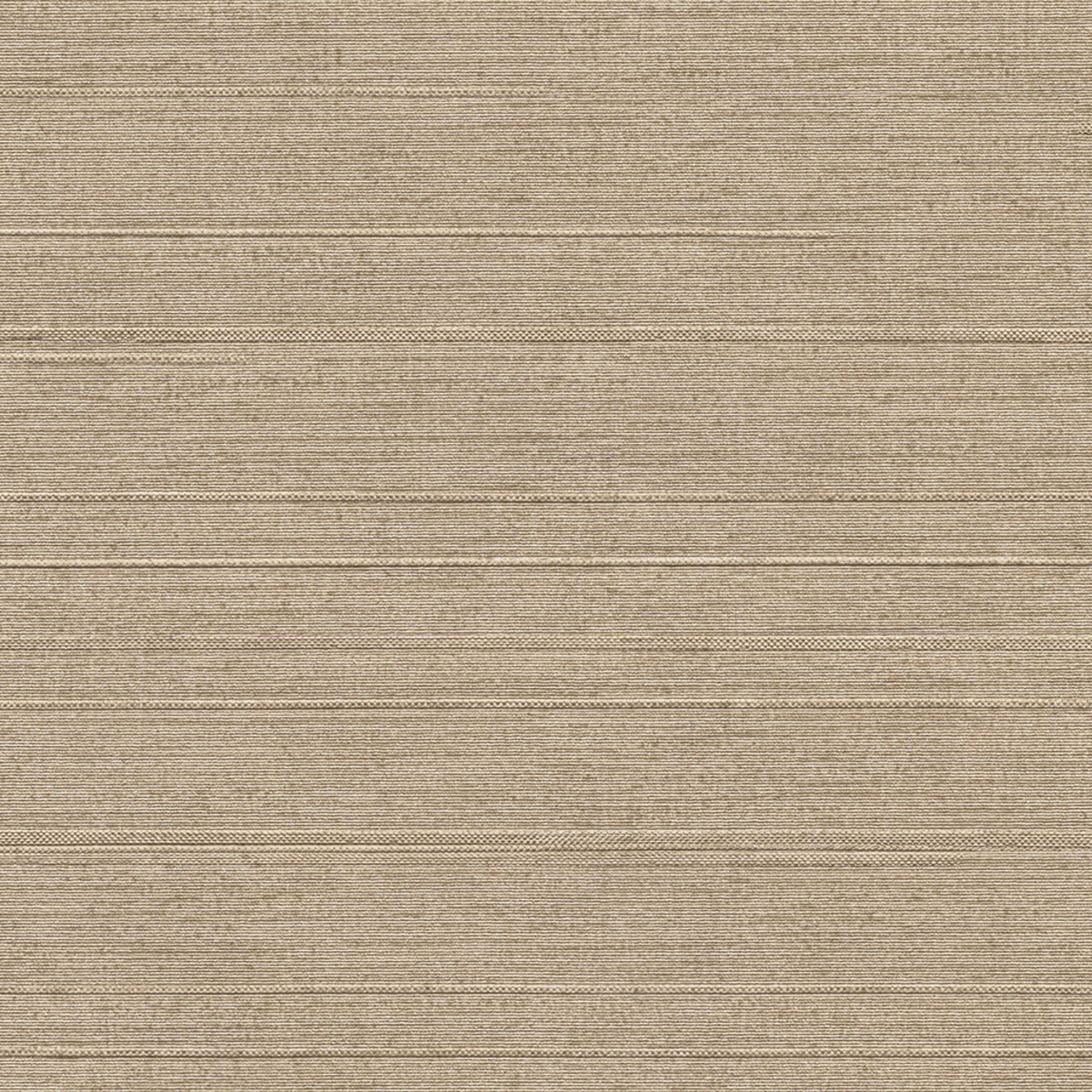 Vinyl Silk Road — Buff