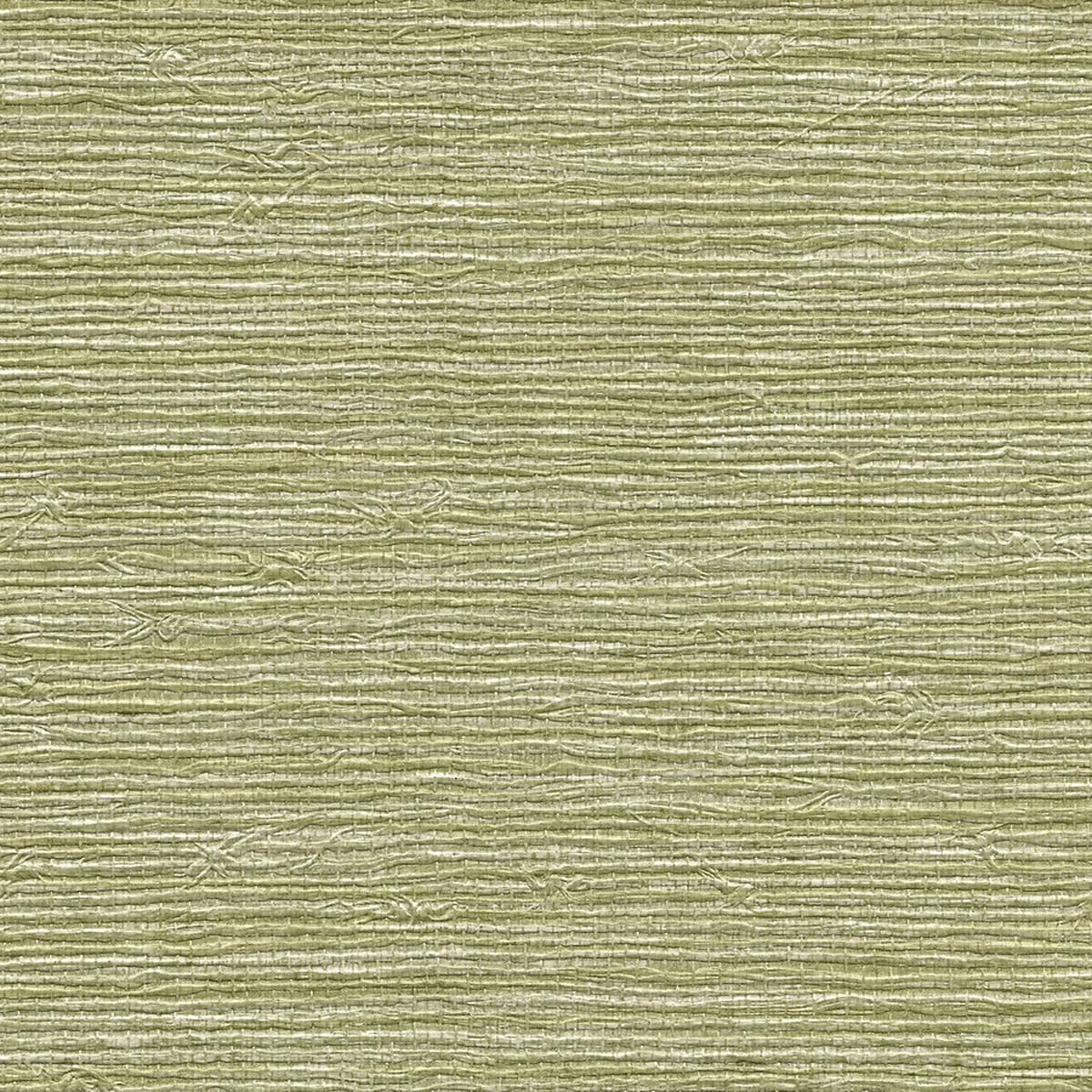 Vinyl Arrowroot — Chartreuse