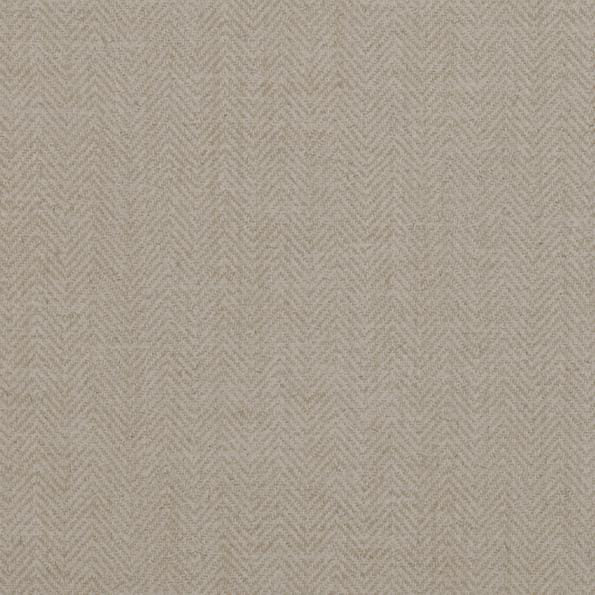Contemporary Cream