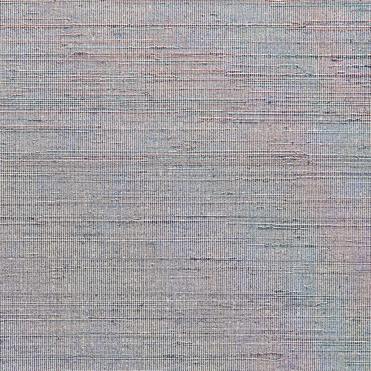 Basking Blue