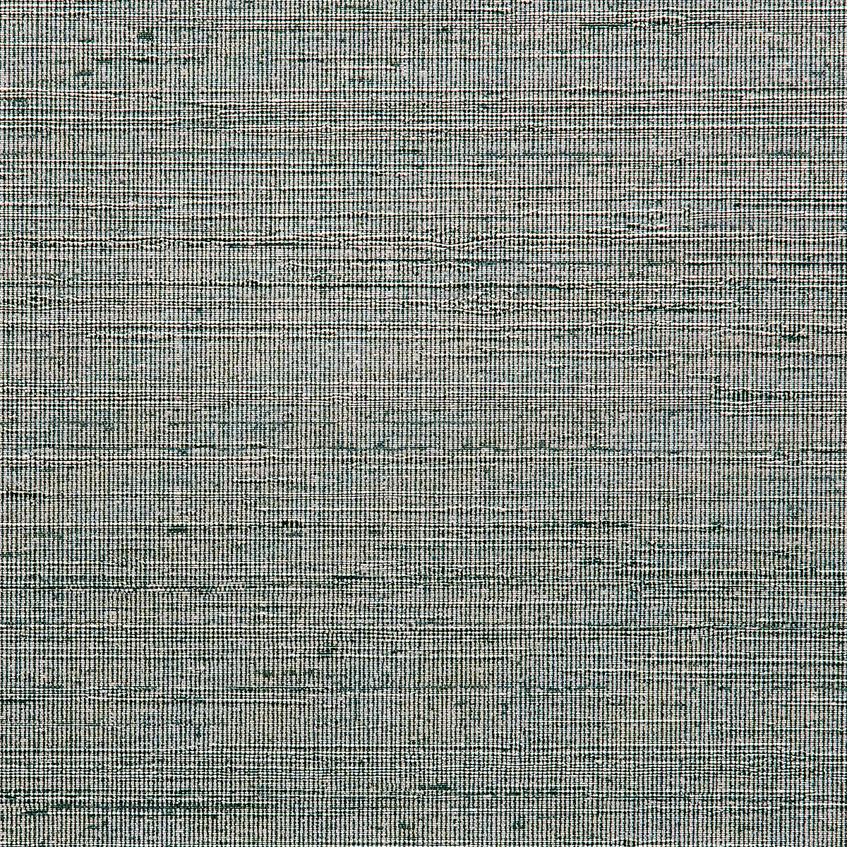Daybreak Grass