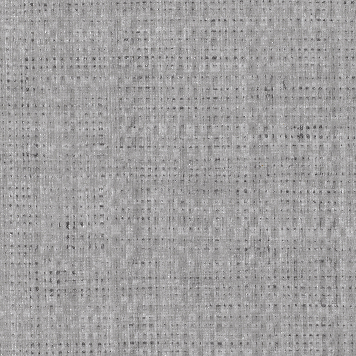 Grey Mamba