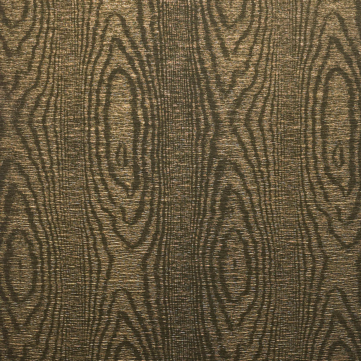 Wild Woods — Rocky Mountain Grey