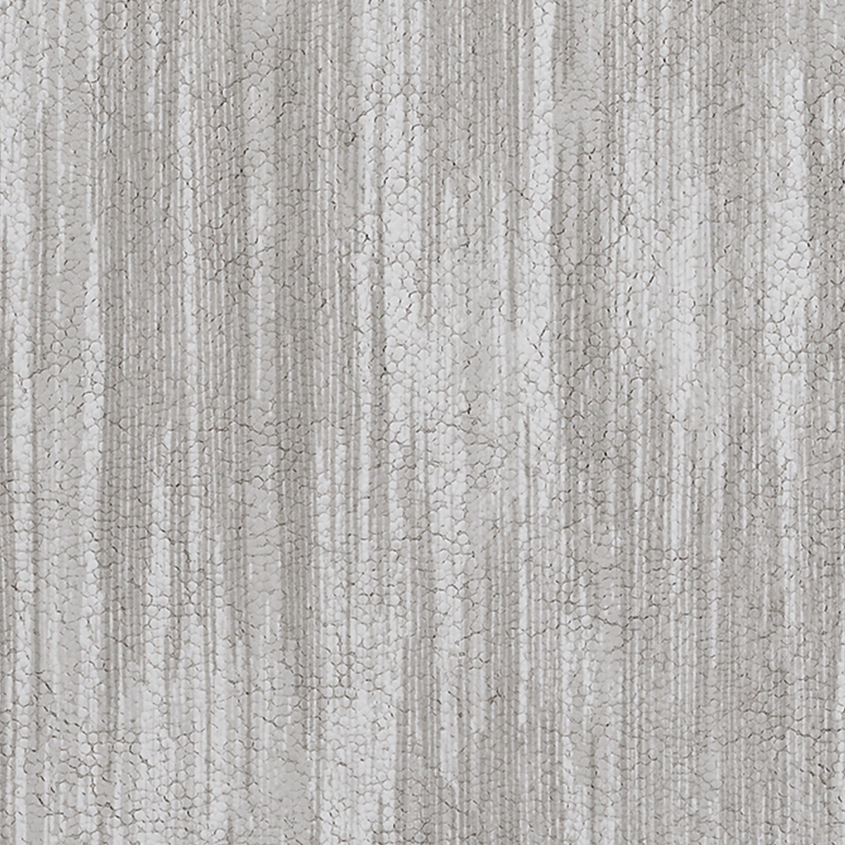 Grey Gull