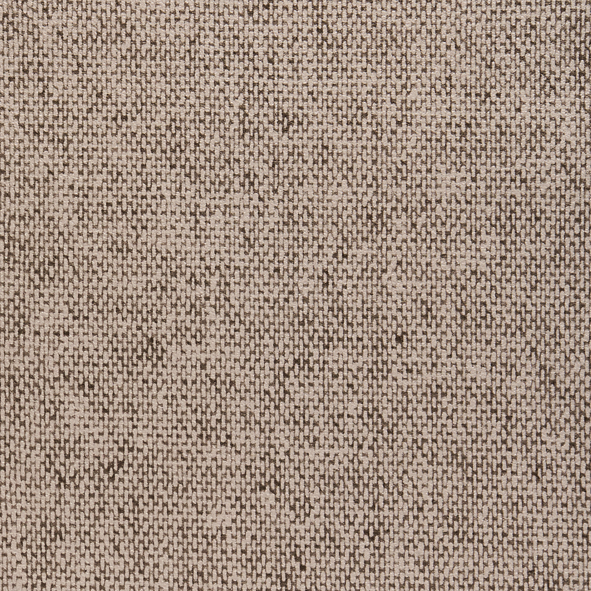 Hibernian Beige