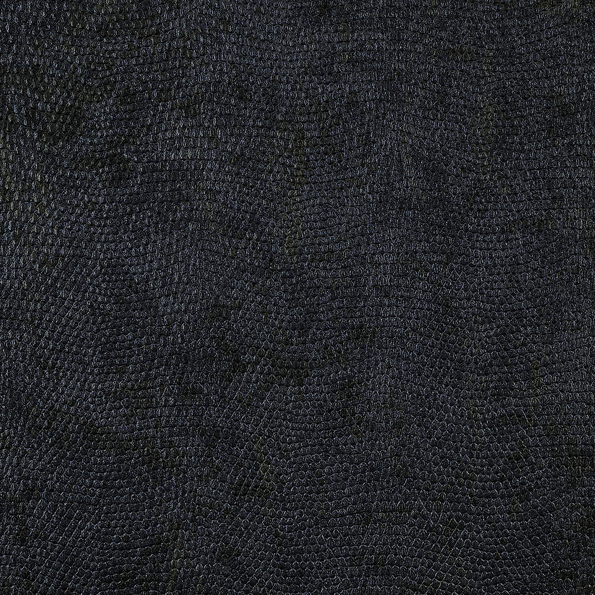 Blue Boa