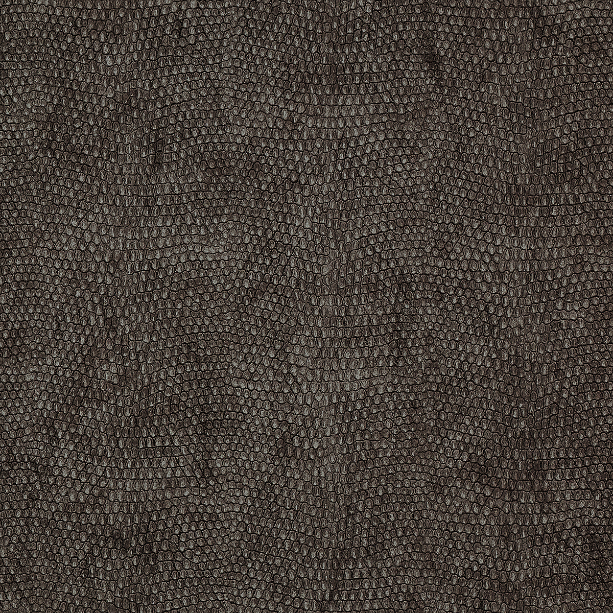 Grey Ora
