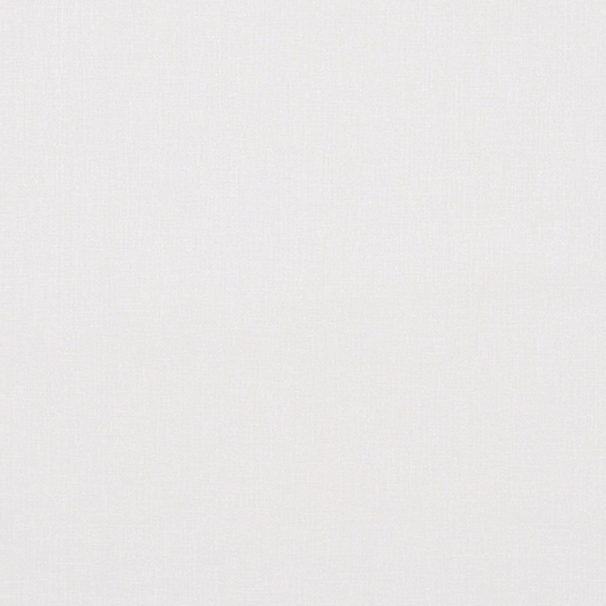 Vinyl Canvas — Gesso