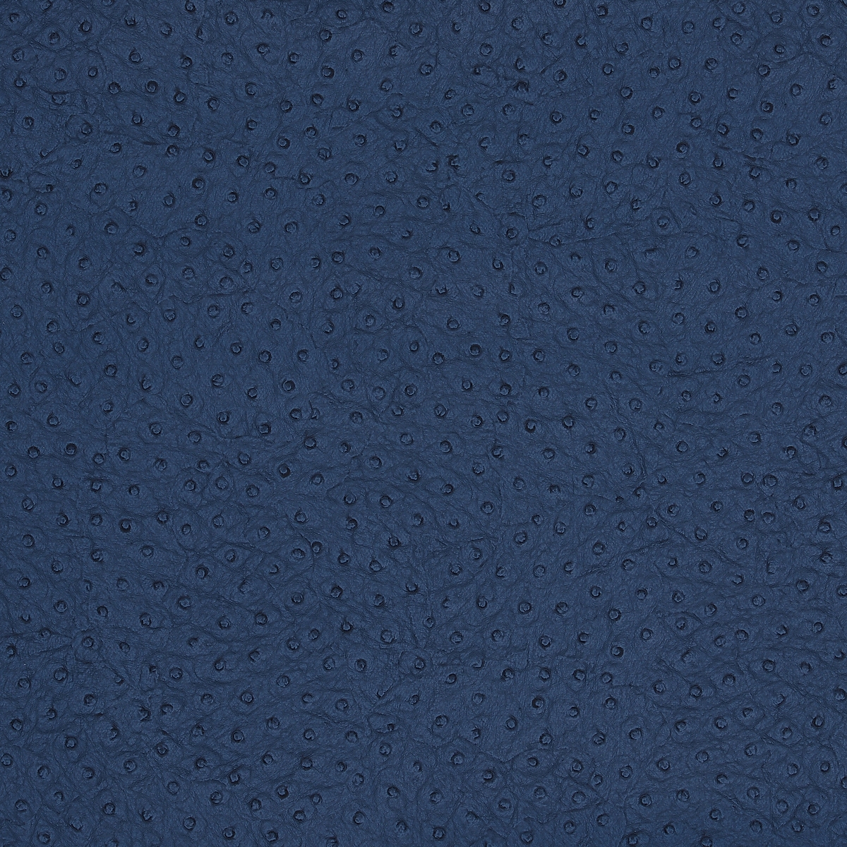 Bleu Nuit